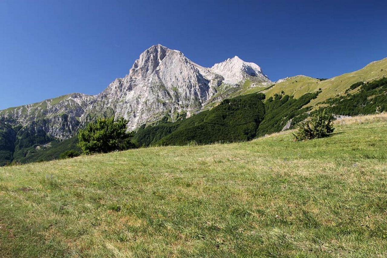 Complesso Turistico Aurora - Camere B&B Poggio Picenze Exteriér fotografie